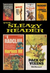 The Sleazy Reader #6 cover