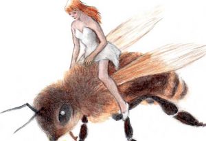 Bee Rider by Joe Wehrle, Jr.