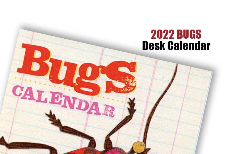 2022 Bugs Desk Calendar